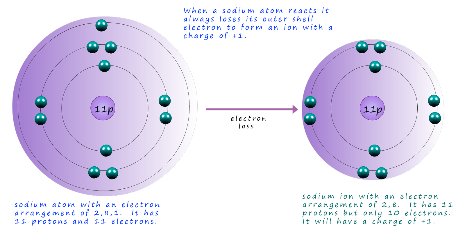 Atomic structure diagram showing a sodium atom forming a sodium ion.